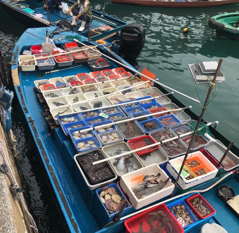 Experience the Floating Markets